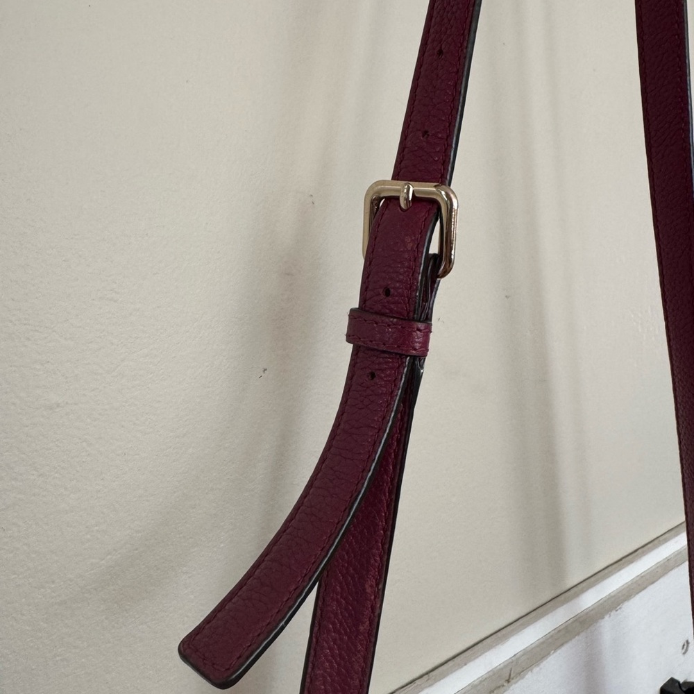 Kate Spade Plum Crossbody Bag - Picture 6 of 12